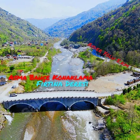 Asma Bahce * Ardeşen