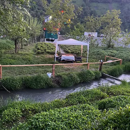 Appartement Asma Bahce Ardeşen